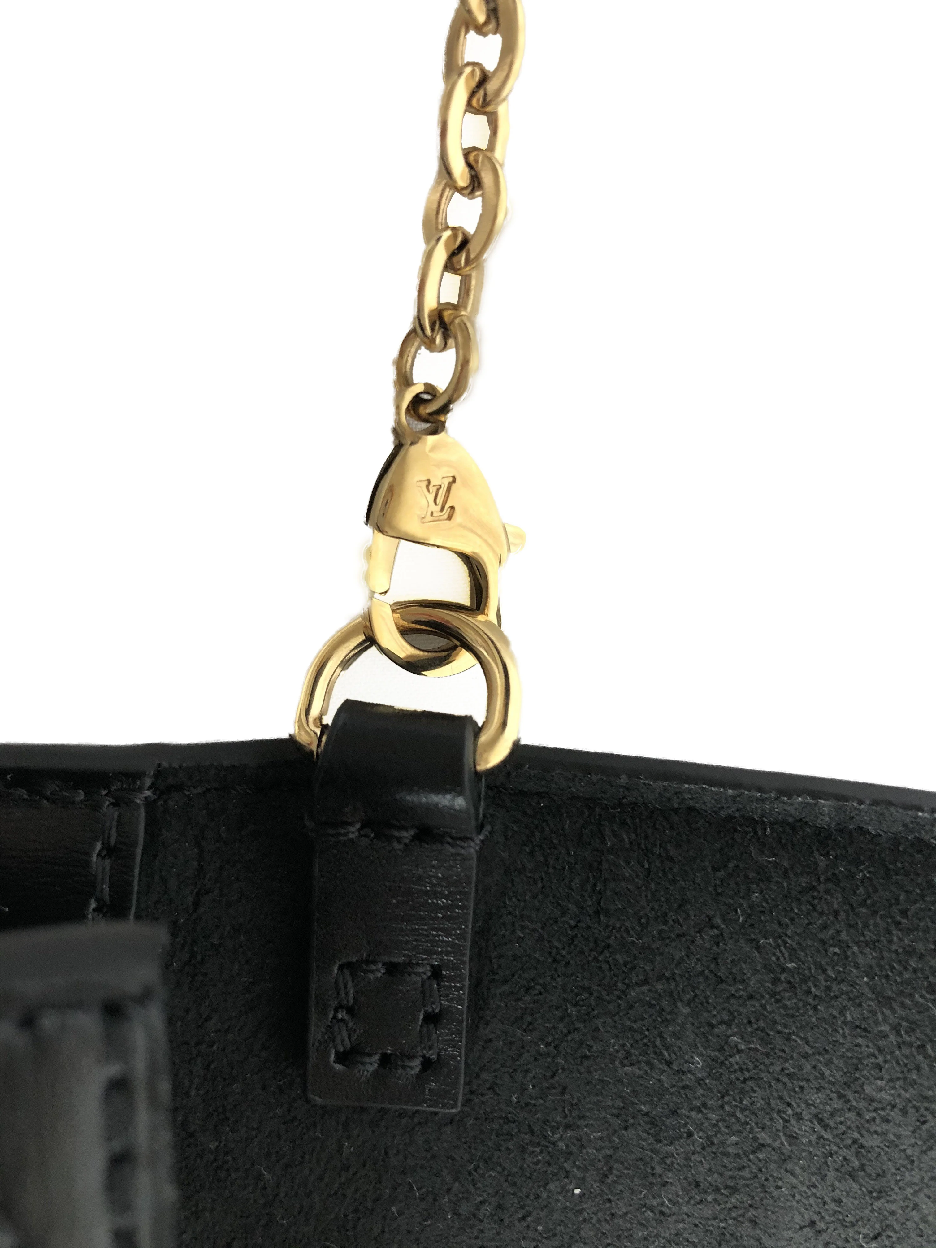 Louis Vuitton Since 1854 Dauphine (NWT) - Image 8